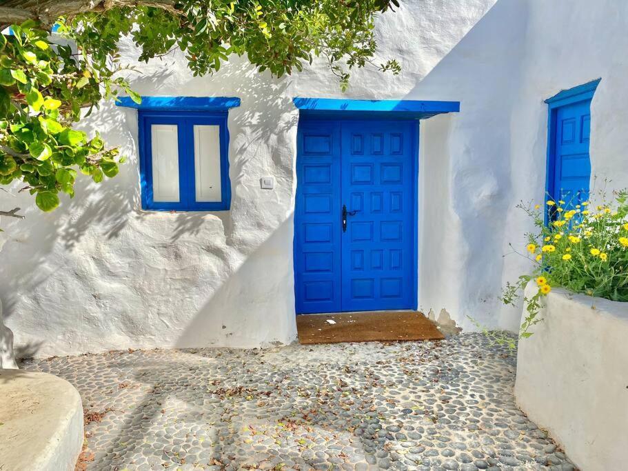 Villa Ocean View Pedro Barba Eksteriør bilde